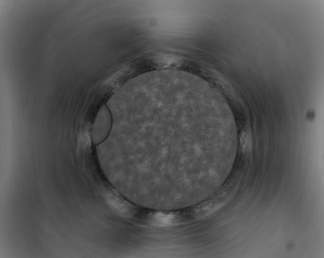 X0000100360570200807031841