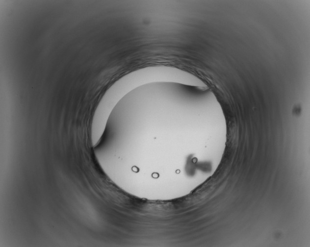 X0000100360571200807031841