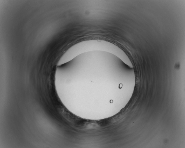 X0000100360572200807031841