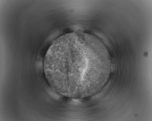 X0000100360573200807031841