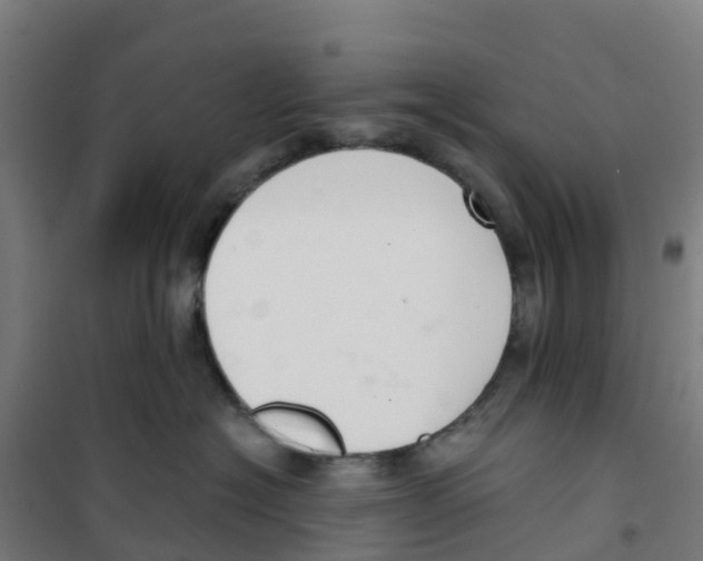 X0000100360574200807031841