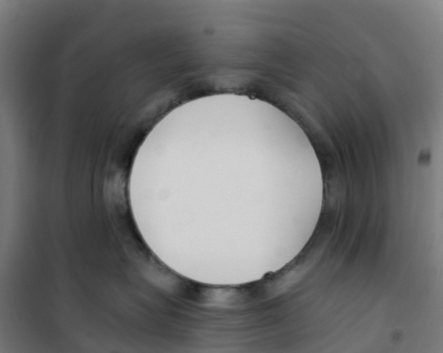X0000100360575200807031841