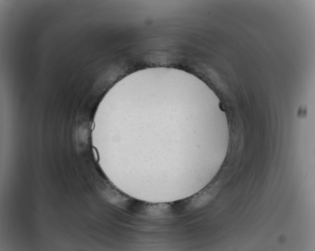 X0000100360576200807031841