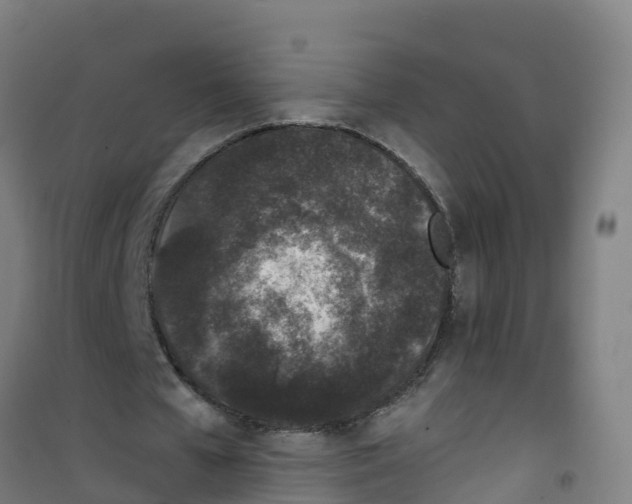 X0000100360577200807031840