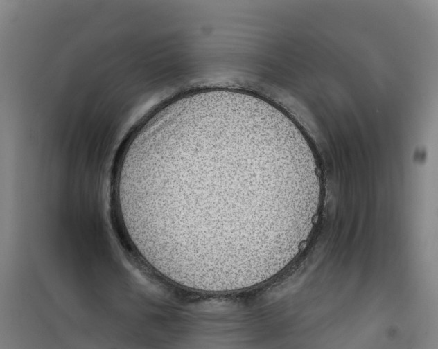 X0000100360578200807031840