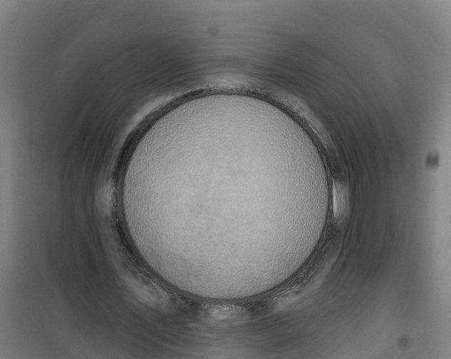 X0000100360579200807031840