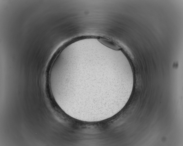 X0000100360580200807031840