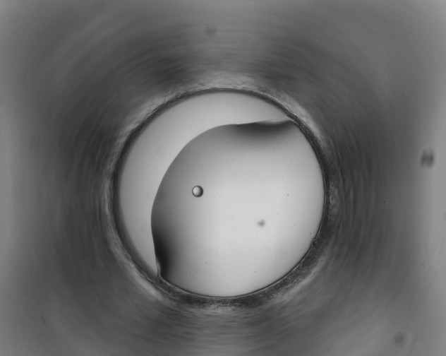 X0000100360581200807031840