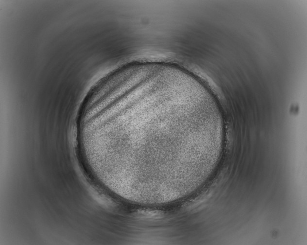 X0000100360582200807031840