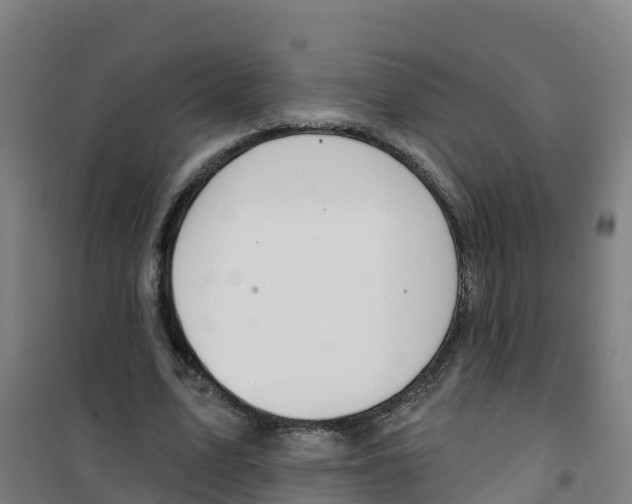 X0000100360583200807031840