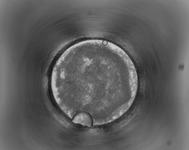 X0000100360584200807031840