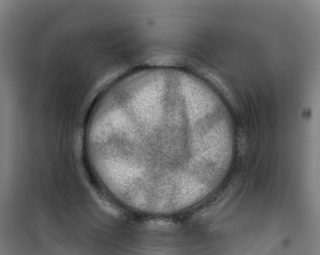 X0000100360586200807031840