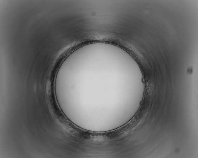 X0000100360587200807031840