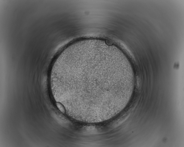 X0000100360588200807031840