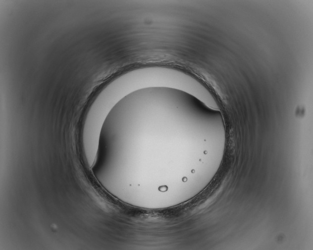 X0000100360589200807031840