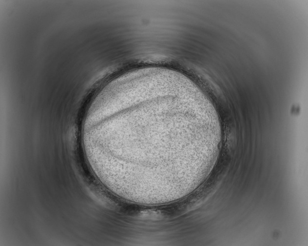 X0000100360591200807031840