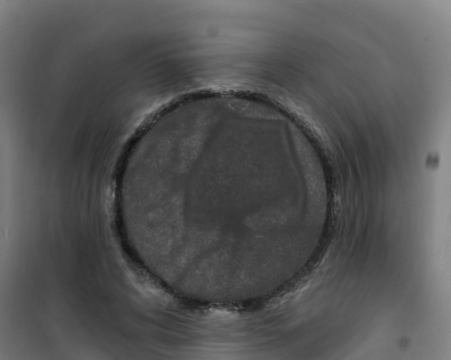 X0000100360592200807031840