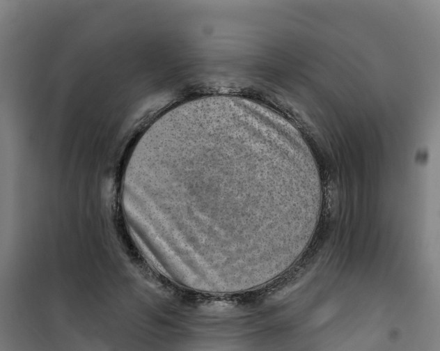X0000100360594200807031840