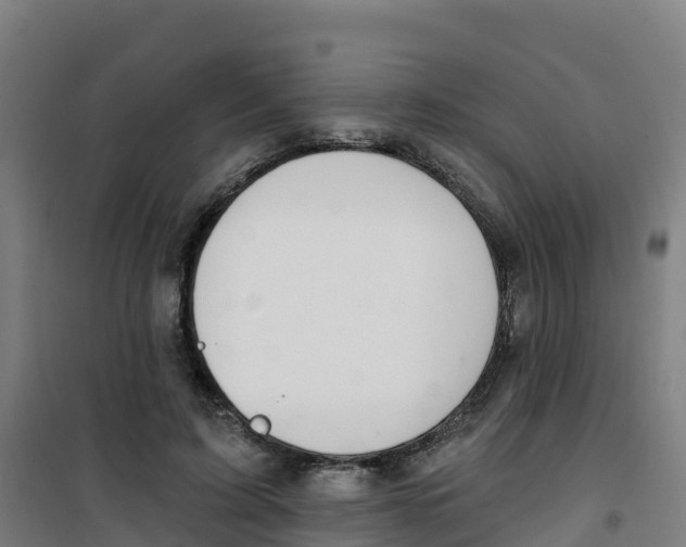 X0000100360595200807031840