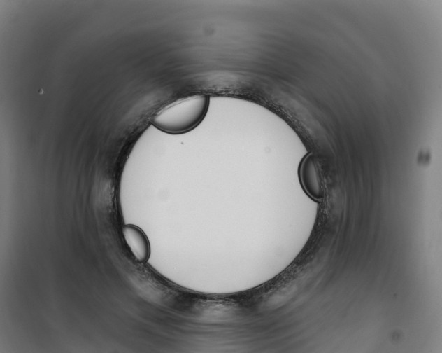 X0000100360597200807031840