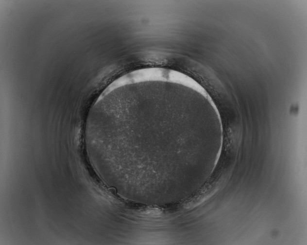 X0000100360600200807031839