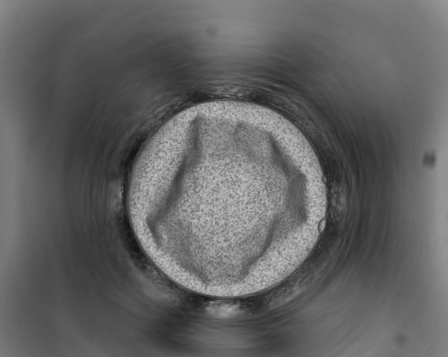 X0000100360602200807031839