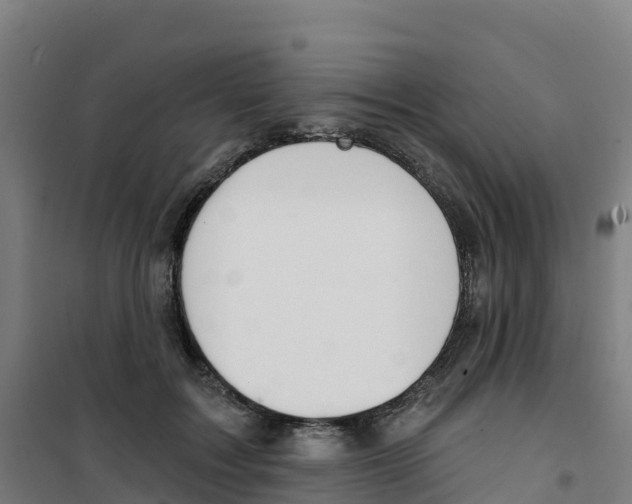 X0000100360603200807031839