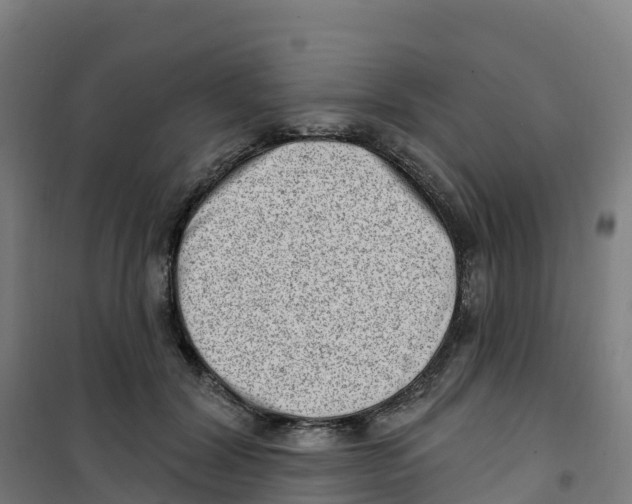 X0000100360604200807031839