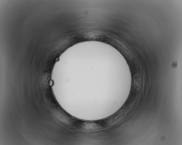 X0000100360605200807031839
