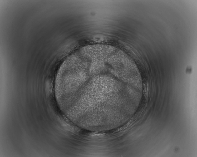 X0000100360606200807031839
