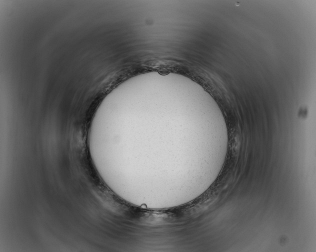 X0000100360607200807031839