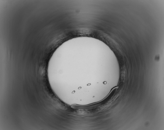 X0000100360608200807031839