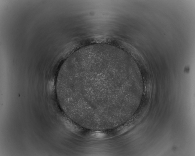 X0000100360610200807031839