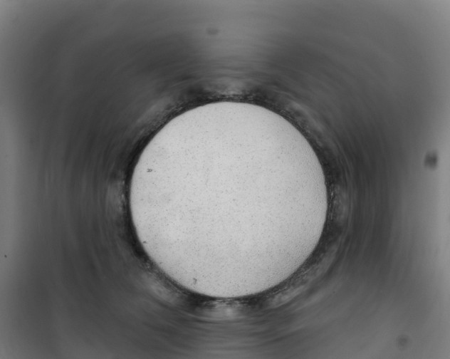 X0000100360612200807031839