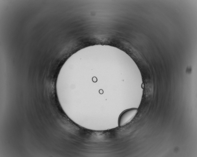 X0000100360613200807031839