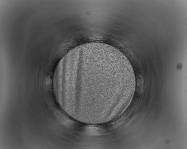 X0000100360614200807031839