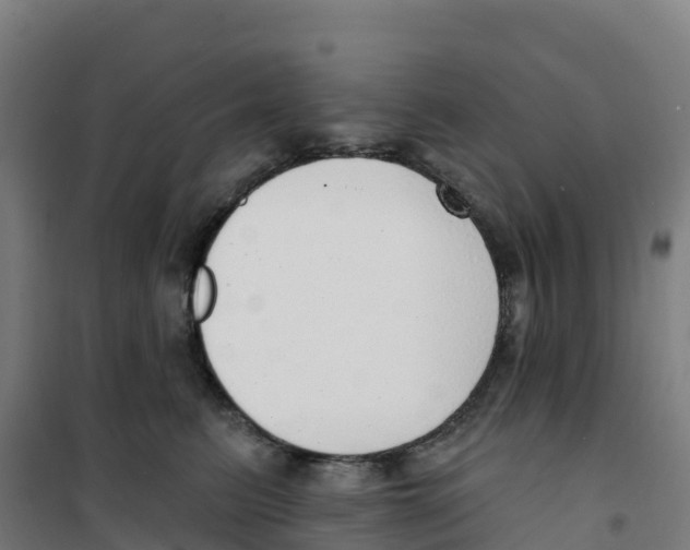 X0000100360615200807031839
