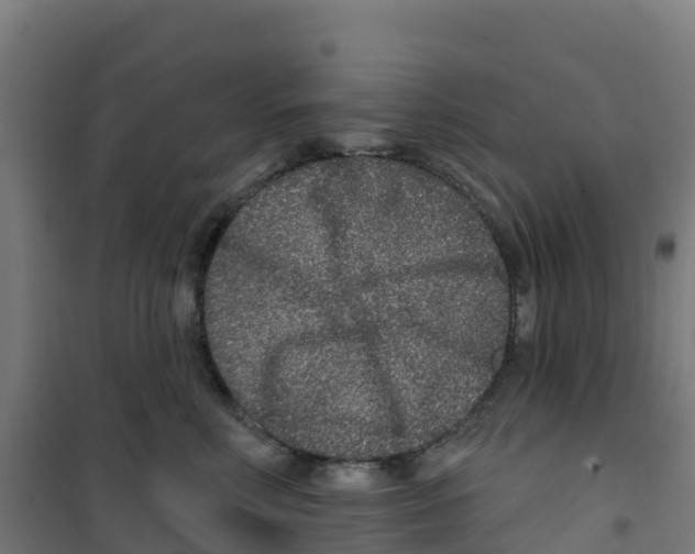 X0000100360618200807031839