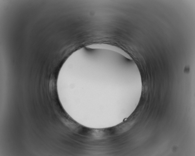 X0000100360623200807031839