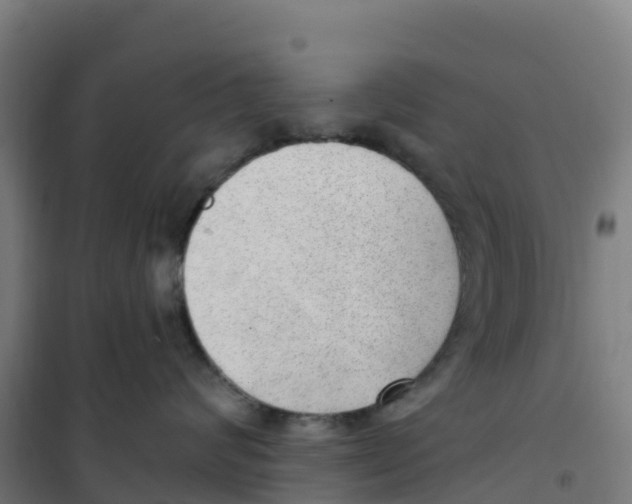 X0000100360624200807031839