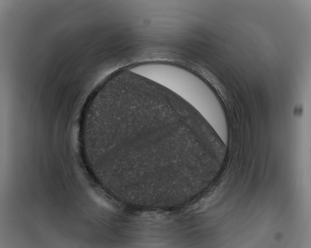 X0000100360627200807031838