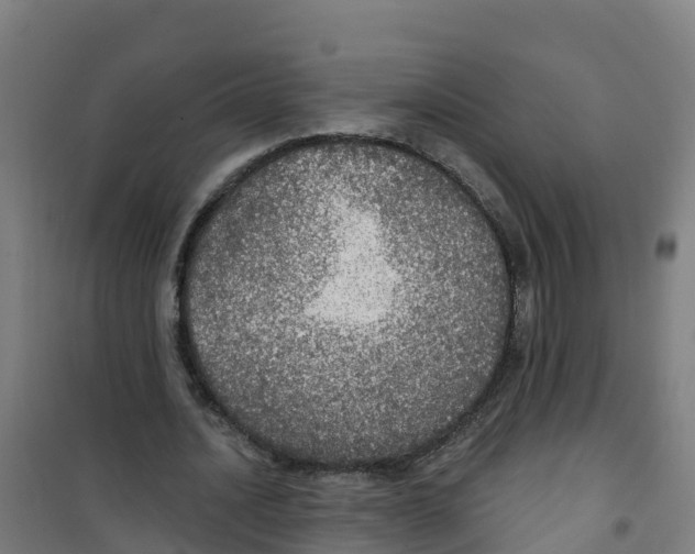 X0000100360628200807031839