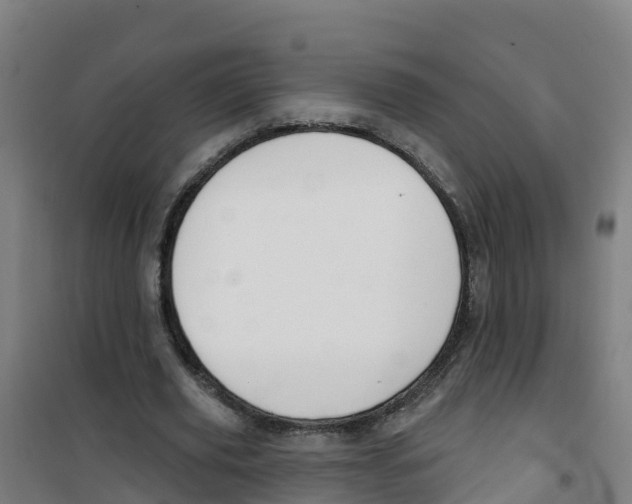 X0000100360629200807031839