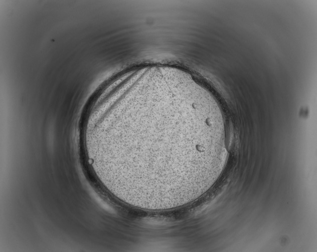 X0000100360630200807031839