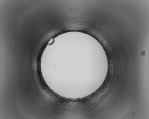 X0000100360631200807031839