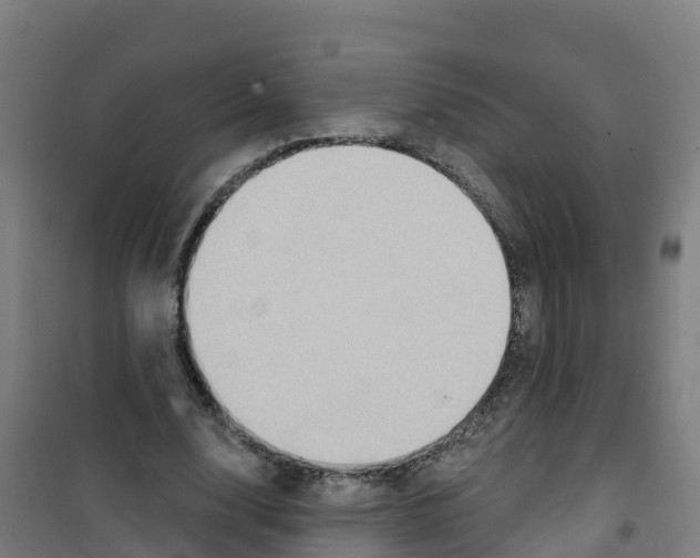 X0000100360632200807031839