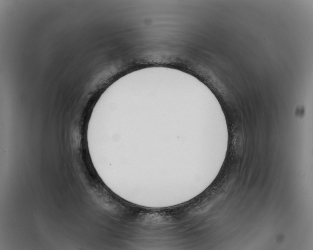 X0000100360635200807031839
