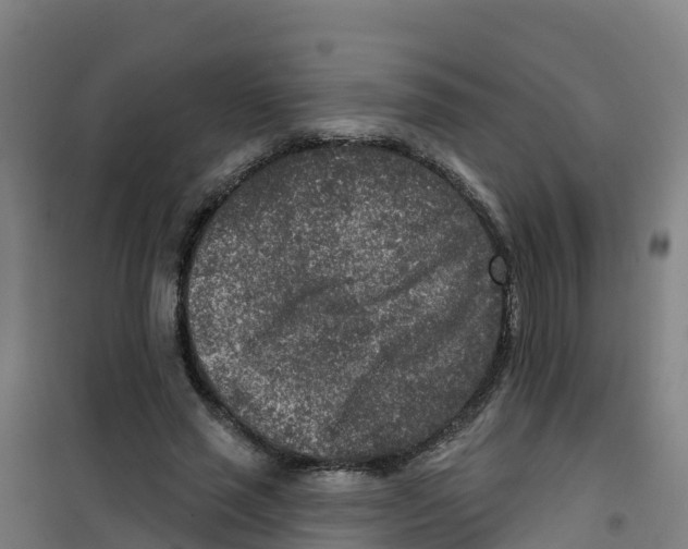 X0000100360637200807031839