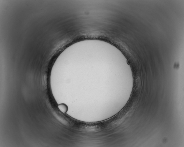 X0000100360638200807031839