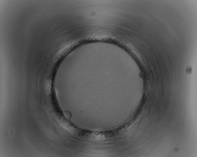 X0000100360640200807031839